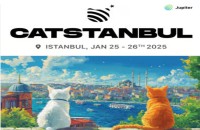  Catstanbul 2025