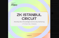 Aleo zk Istanbul Circuit - Gizlilik ve Teknoloji Buluşması